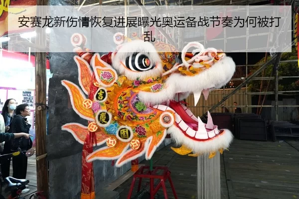 安赛龙新伤情恢复进展曝光奥运备战节奏为何被打乱