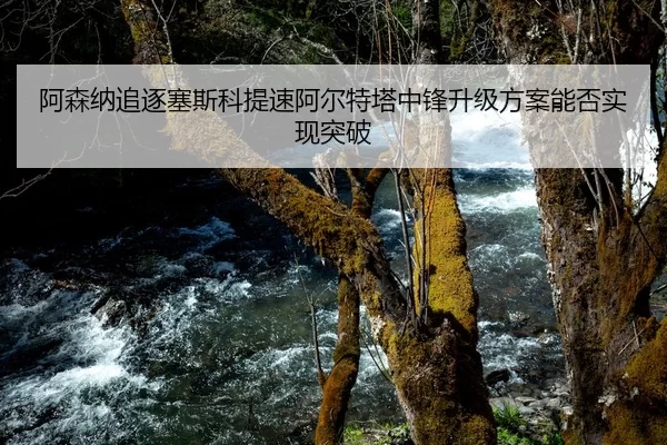 阿森纳追逐塞斯科提速阿尔特塔中锋升级方案能否实现突破
