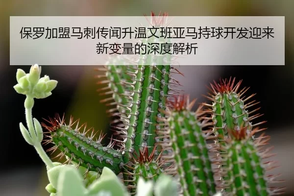 保罗加盟马刺传闻升温文班亚马持球开发迎来新变量的深度解析