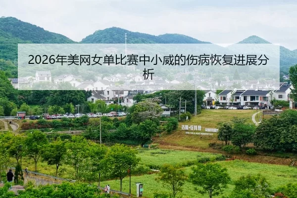 nian-mei-wang-nv-dan-bi-sai-zhong-xiao-wei-de-shang-bing-hui-fu-jin-zhan-fen-xi-2-553.jpg