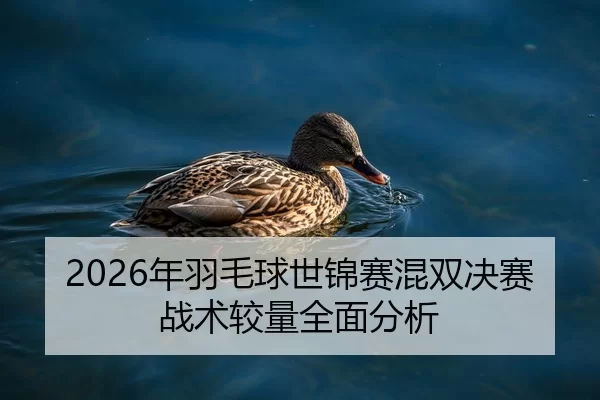 2026年羽毛球世锦赛混双决赛战术较量全面分析