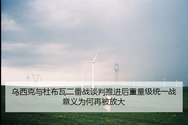 乌西克与杜布瓦二番战谈判推进后重量级统一战意义为何再被放大