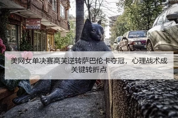 mei-wang-nv-dan-jue-sai-gao-fu-ni-zhuan-sa-ba-lun-ka-duo-guan-xin-li-zhan-shu-cheng-guan-jian-zhuan-zhe-dian-2-815.jpg