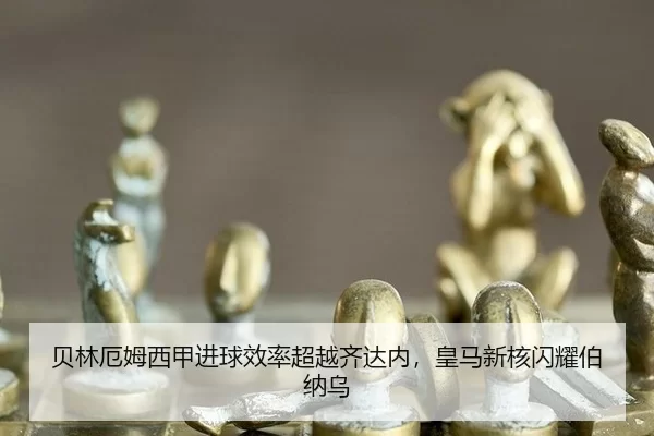 bei-lin-e-mu-xi-jia-jin-qiu-xiao-lv-chao-yue-qi-da-nei-huang-ma-xin-he-shan-yao-bo-na-wu-2-215.jpg