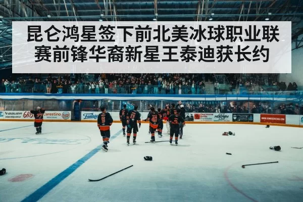 hockey arena crowd