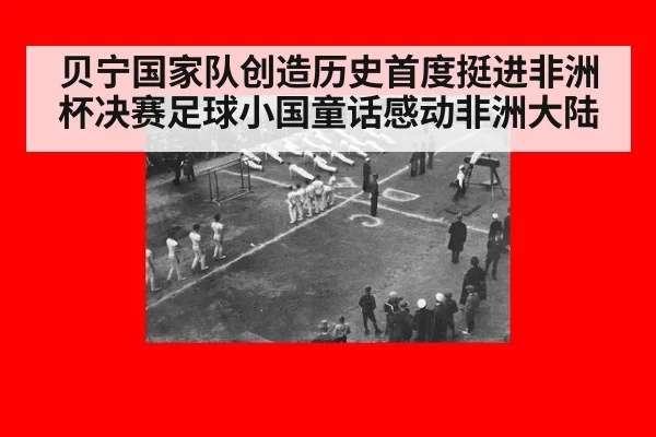 贝宁国家队创造历史首度挺进非洲杯决赛足球小国童话感动非洲大陆