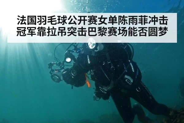 法国羽毛球公开赛女单陈雨菲冲击冠军靠拉吊突击巴黎赛场能否圆梦
